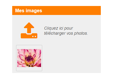 éditeur en ligne - télécharger mes images